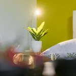 Aida Апартаменты Пореч