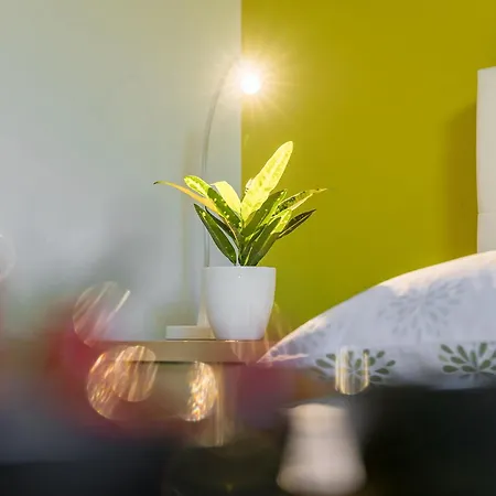 Aida Apartment Porec